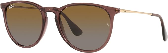 Ray-Ban RB4171 Erika Round Sunglasses (Click For More Colors)